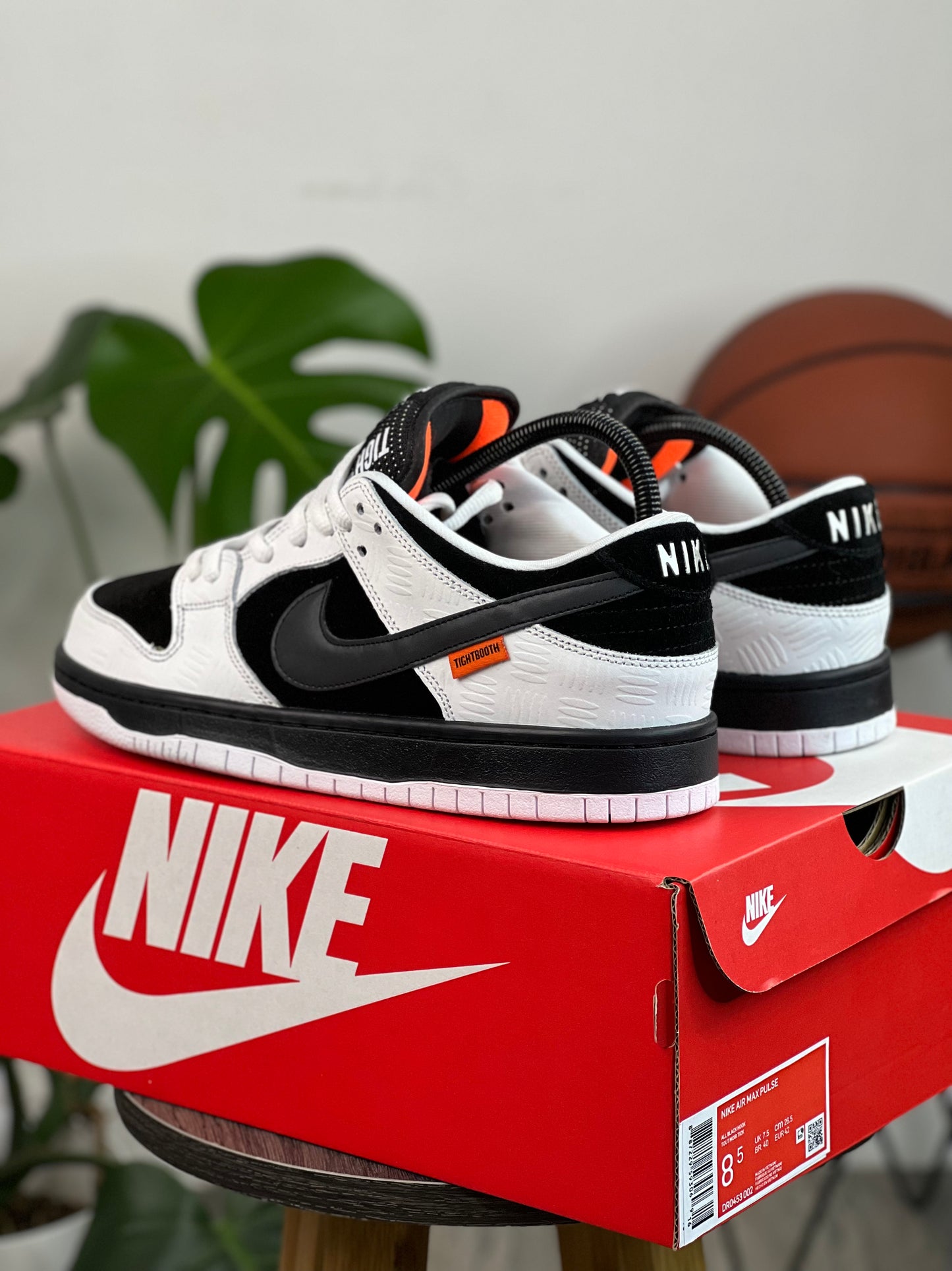 Nike Dunk Low X Tighbooth
