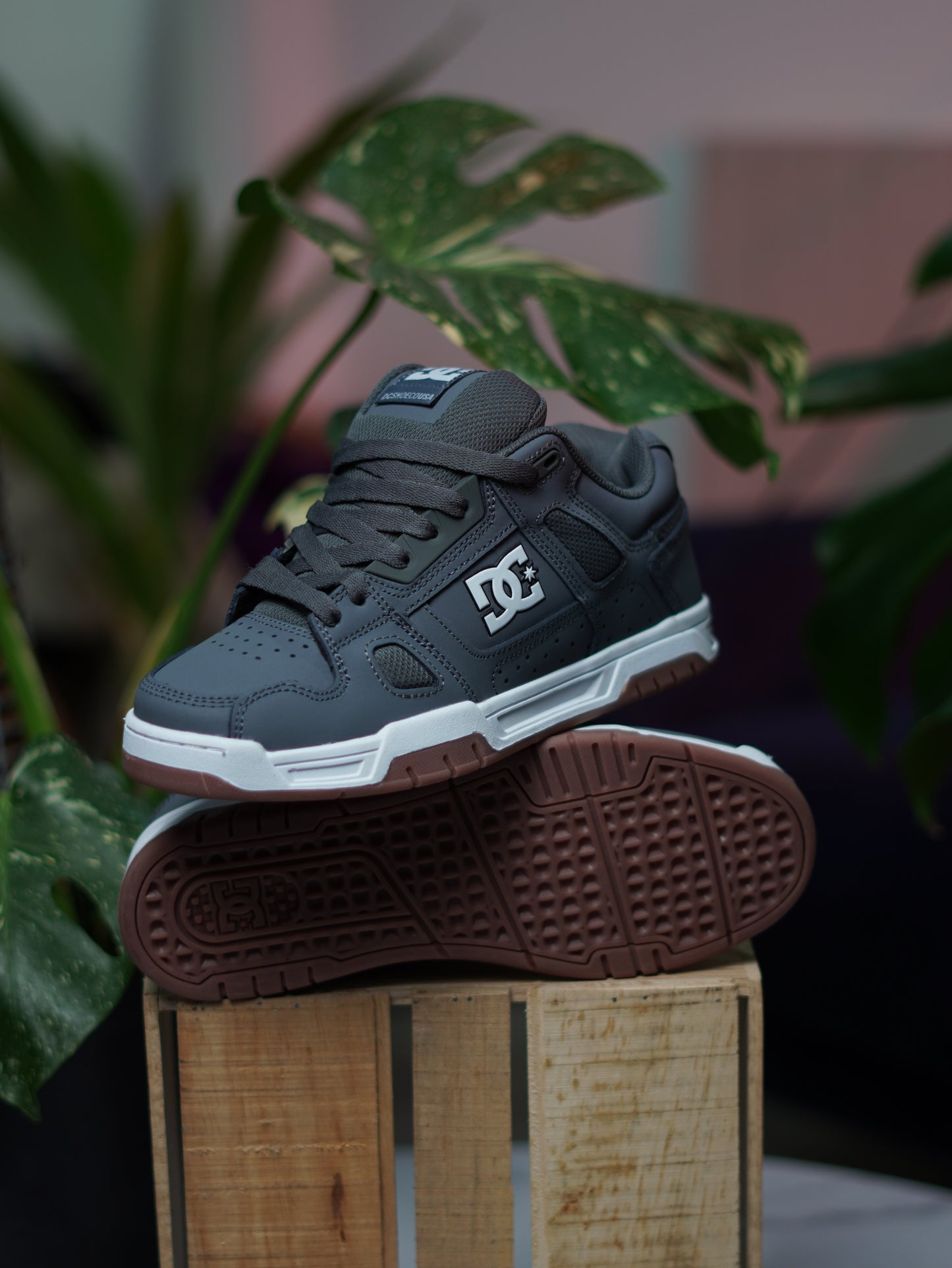 DC Stag Grey Gum