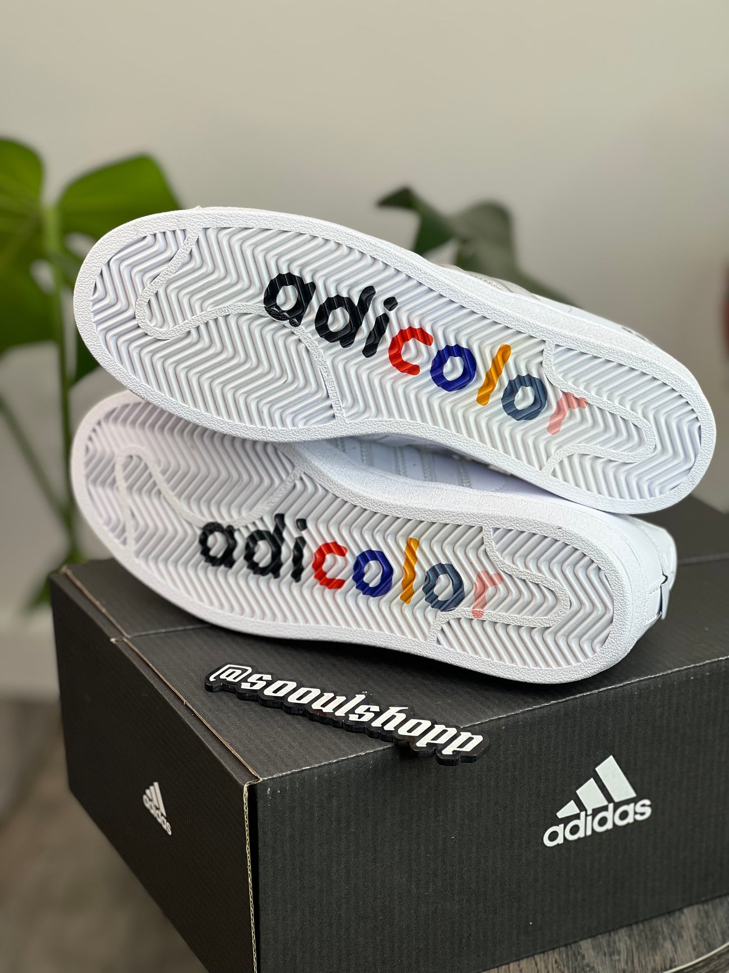 Adidas Adicolor